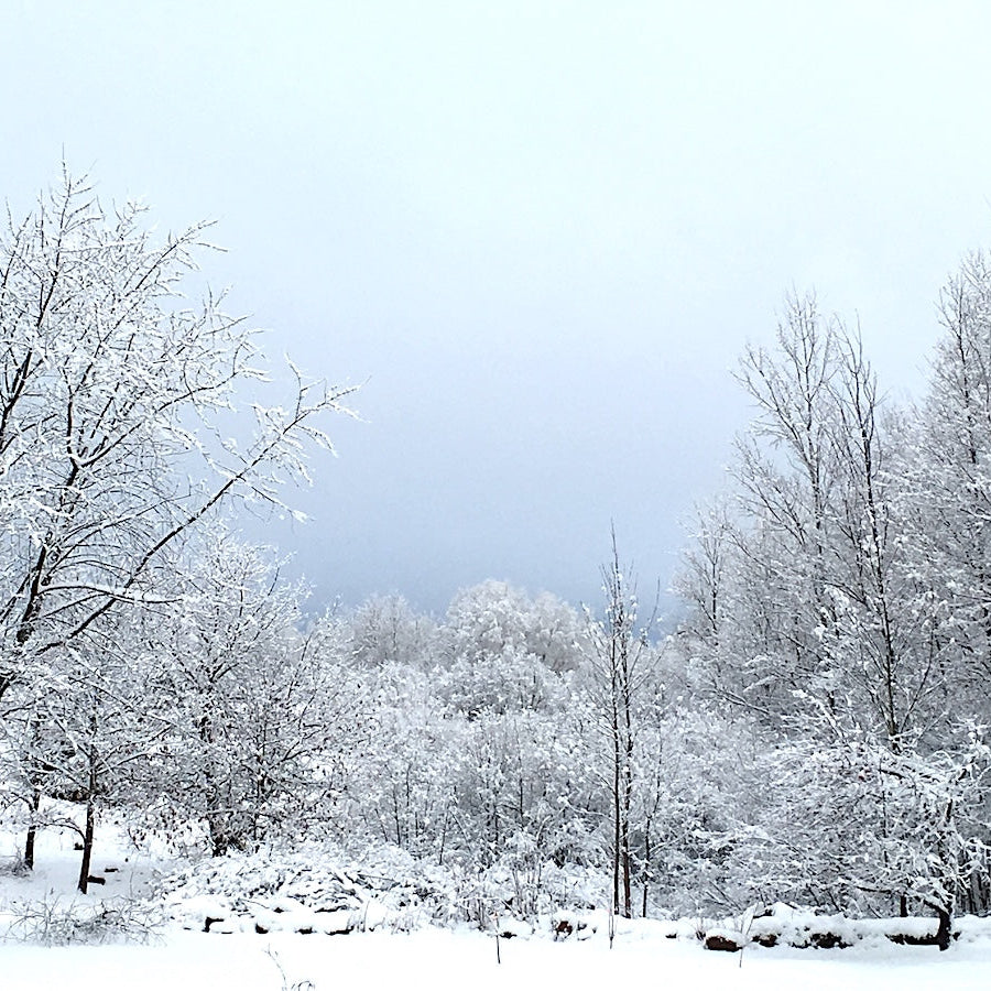 A Northern winter wonderland needs a different type of eating.
