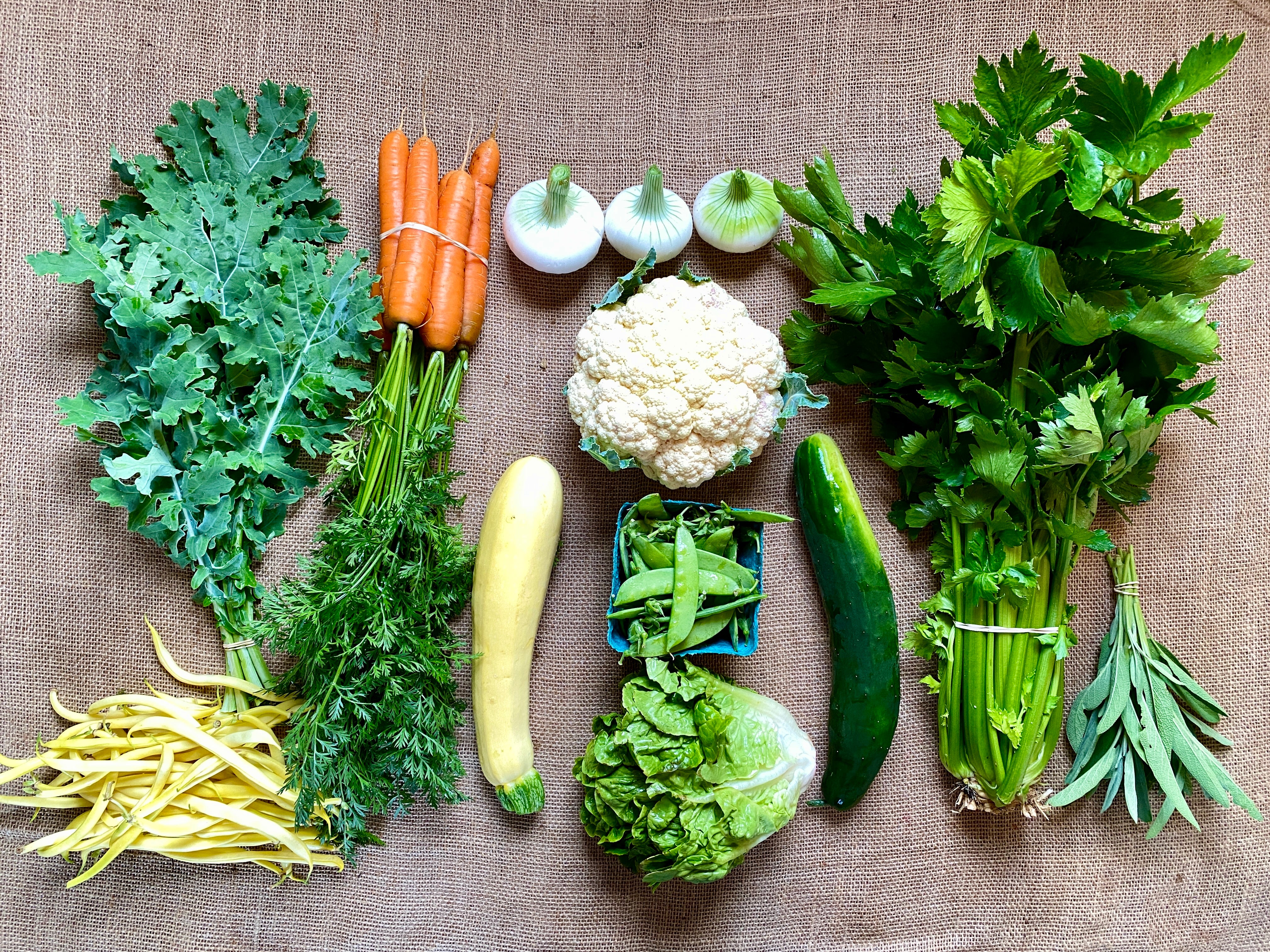 Bounty of organic produce from a CSA share, harvested at peak summer.