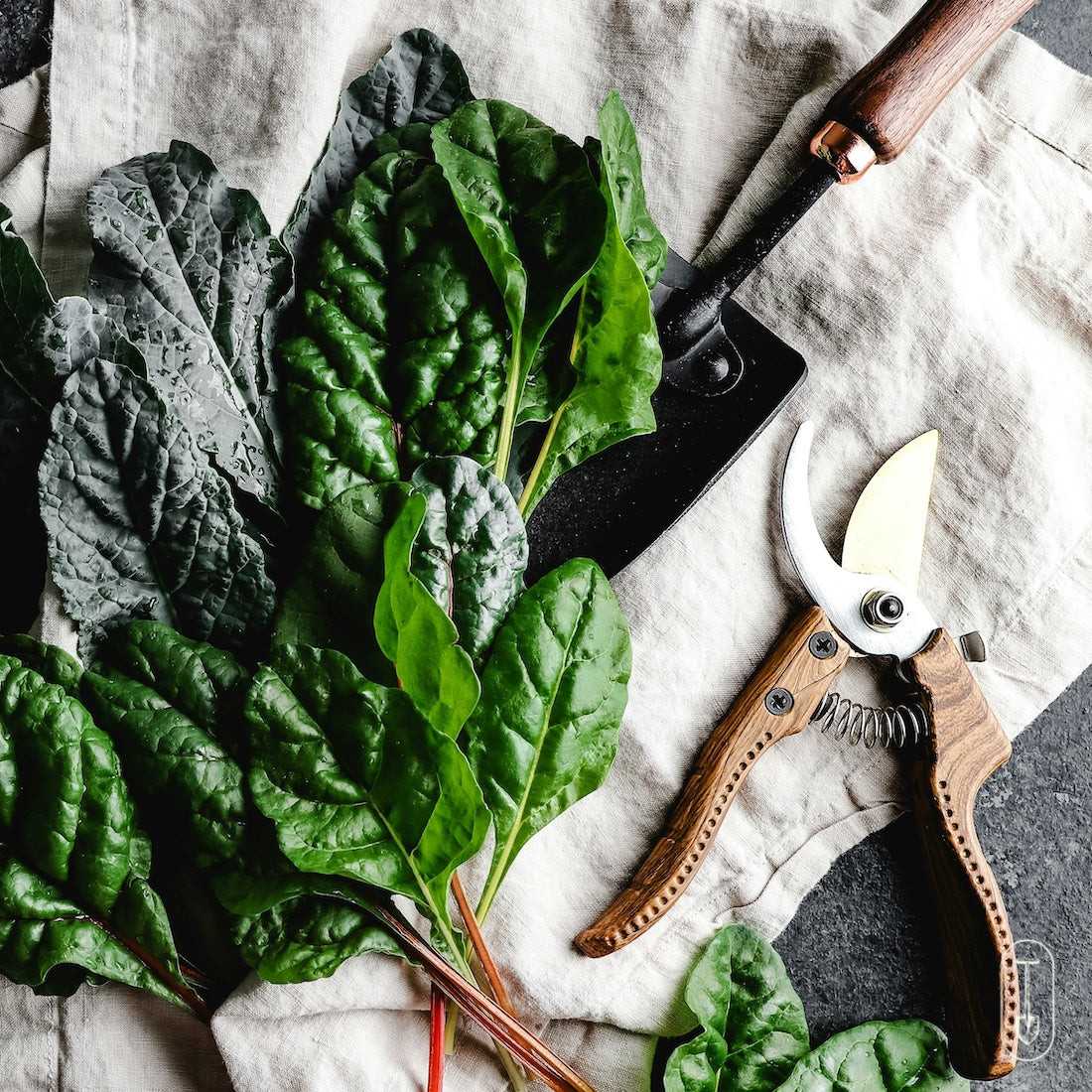 Essential gardening tools for hands-on workshops at The Boreal Farm