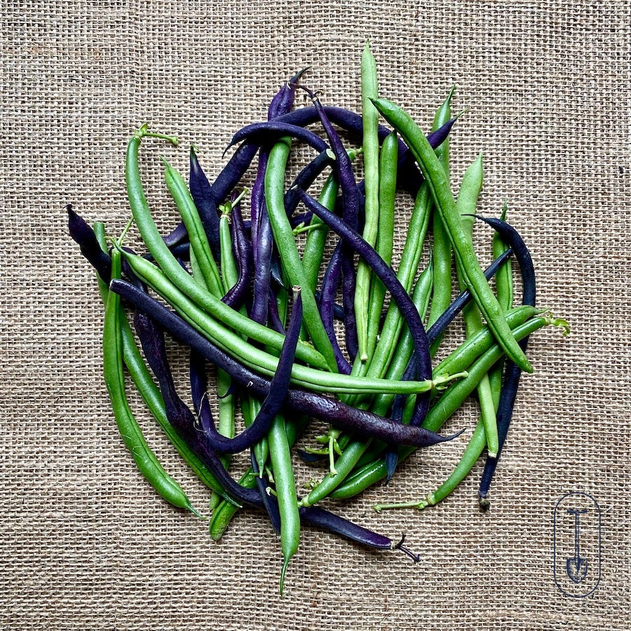 Certified organic beans harvested at peak flavor and displayed naturally