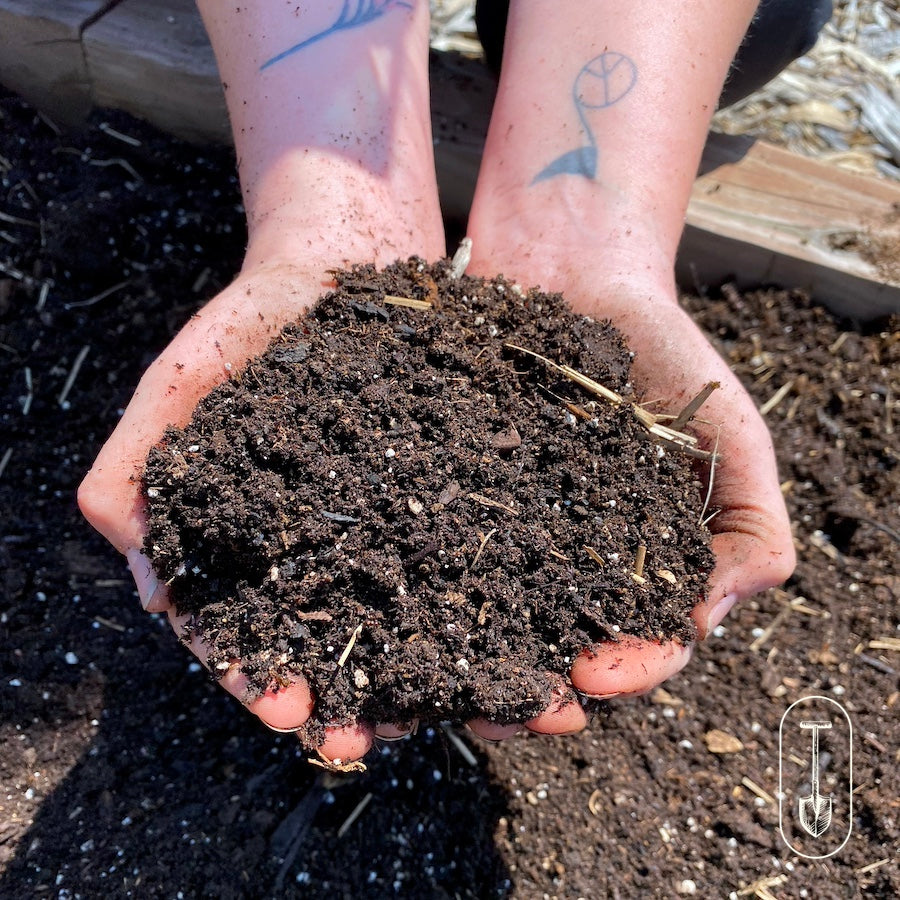 Detailed view of healthy soil cradled in two hands, showing texture and richness.