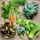 The Boreal Farm USDA Organic CSA mid Summer