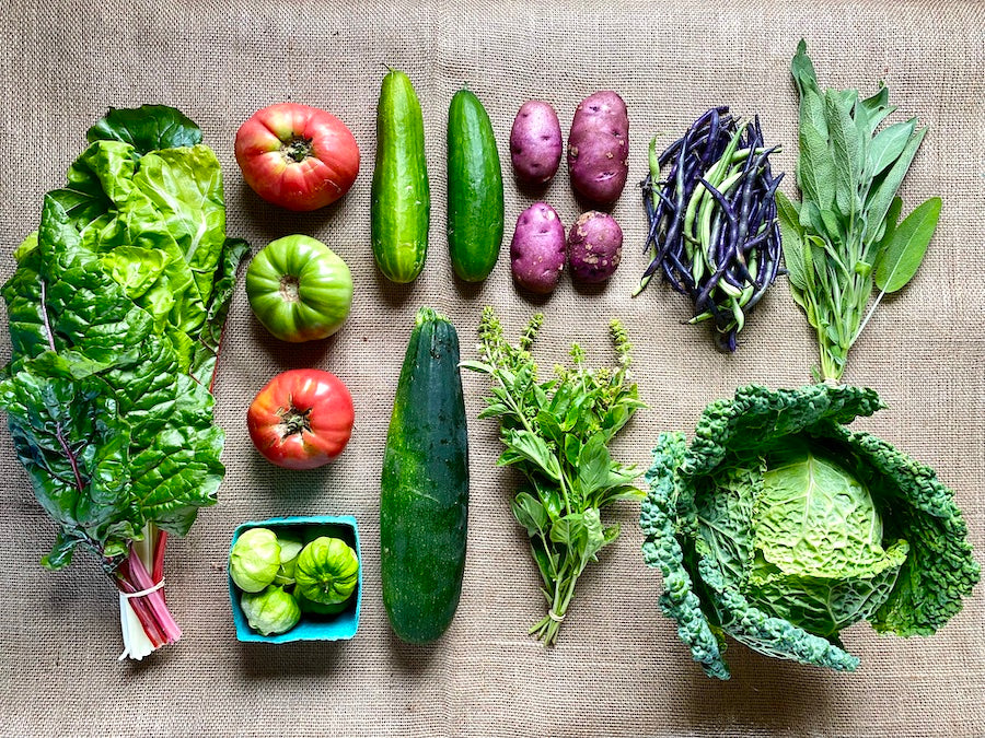 Overhead view of a late summer certified organic CSA share filled with herbs and a colorful variety of vegetables.