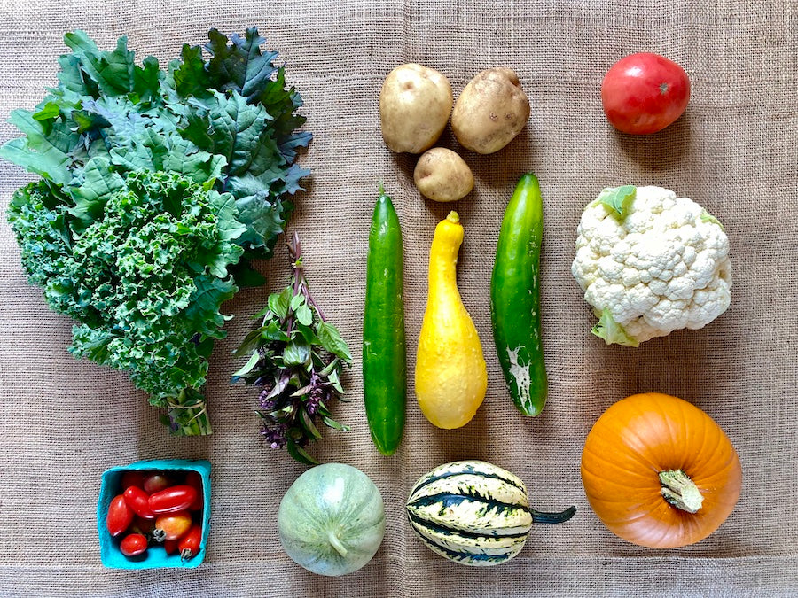 The Boreal Farm USDA Organic CSA Late Summer