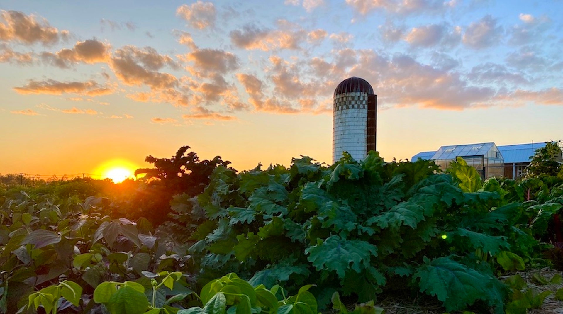 Sunset over The Boreal Farm with rich vegetable beds and a silo silhouetted in the background.