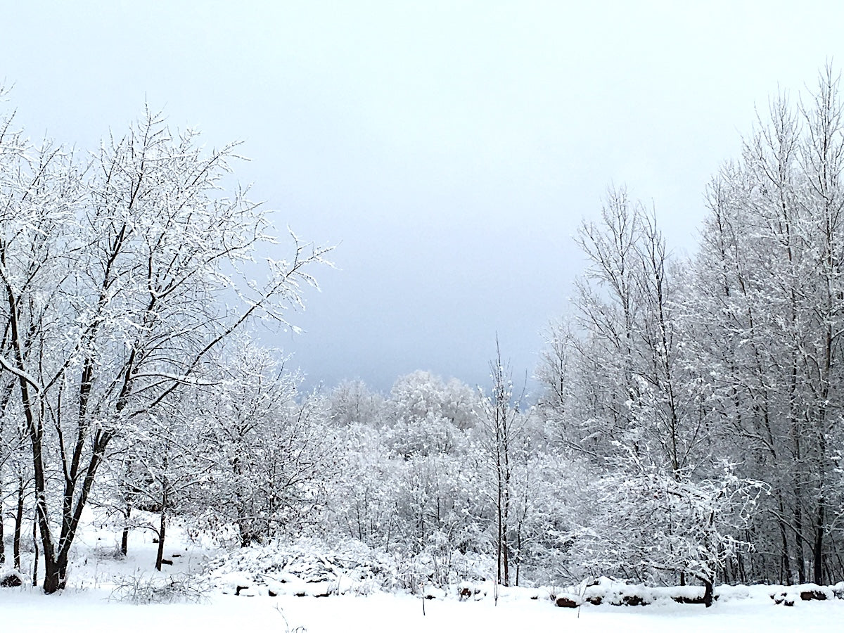 A Northern winter wonderland needs a different type of eating. 