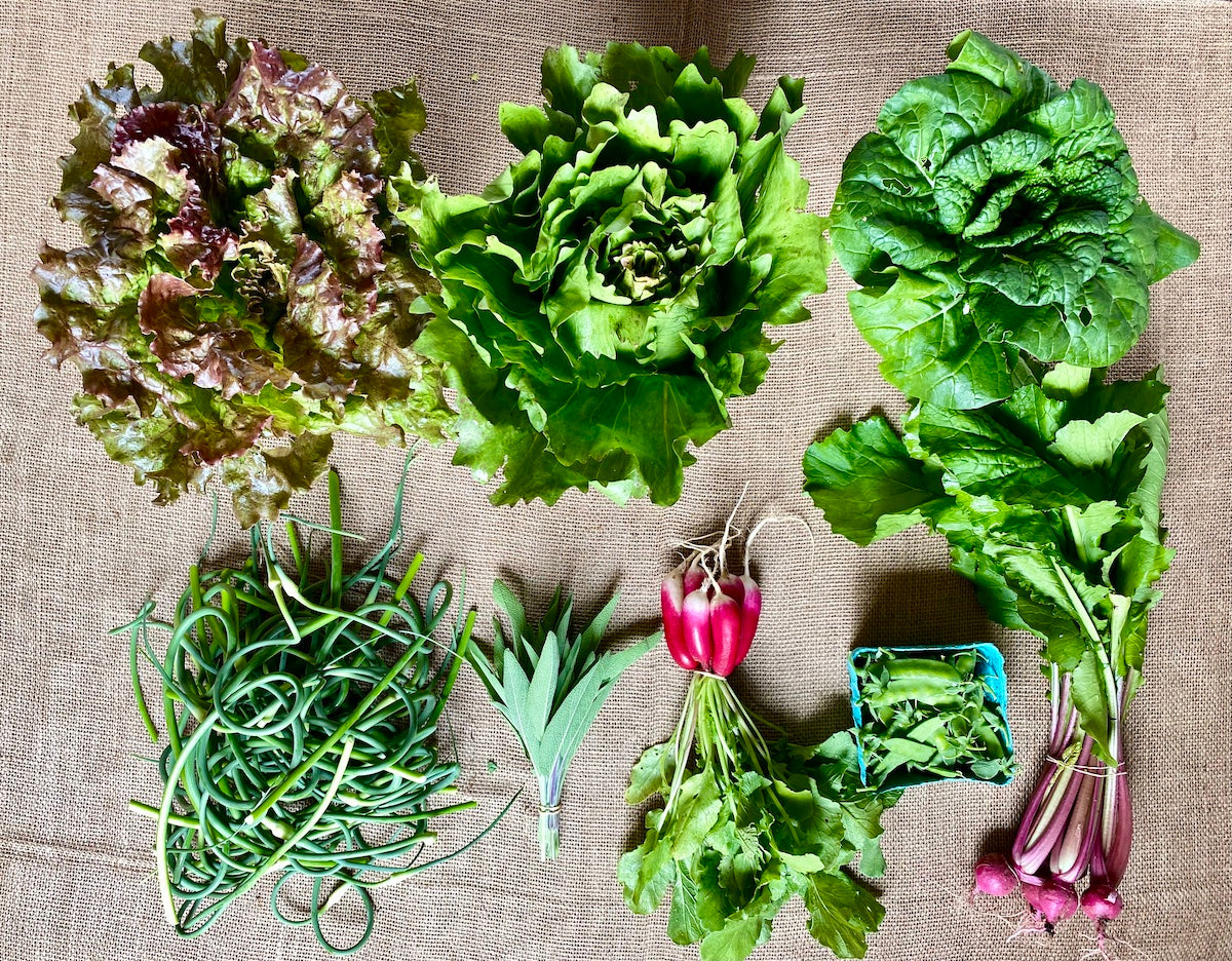 The Boreal Farm Weekly CSA Example