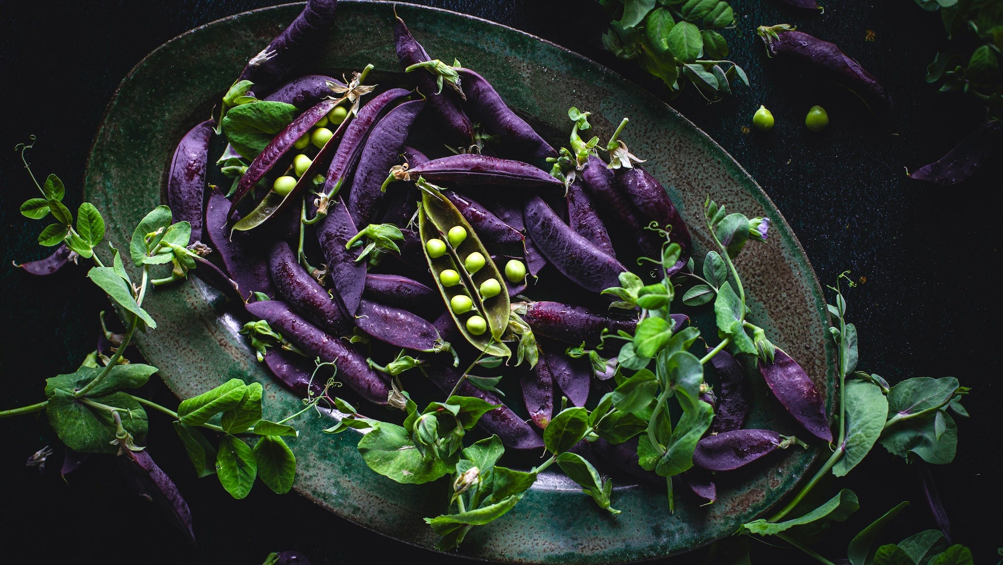 The Boreal Farm Overflowing plate of purple pea pods and bits of vine and pea flowers