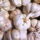 Zemo Certified Organic Garlic