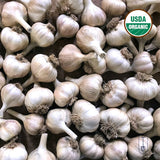 Georgian Crystal Certified Organic Garlic