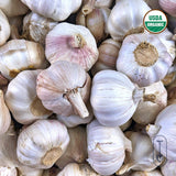 German Red Certified Organic Garlic