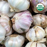 Russian Inferno Certified Organic Garlic