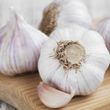 Romanian Red Certified Organic Garlic